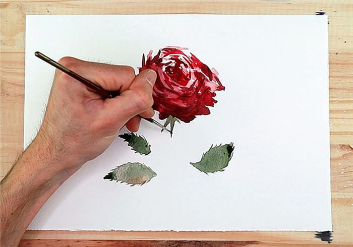 как нарисовать розу 5a