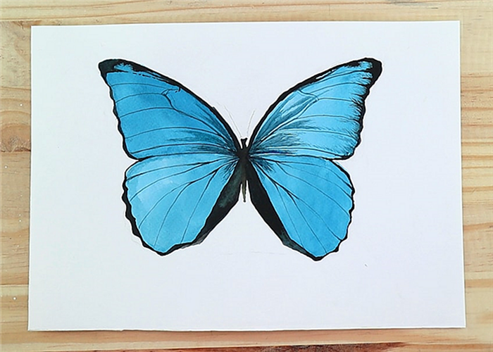 Как рисовать бабочек акварелью