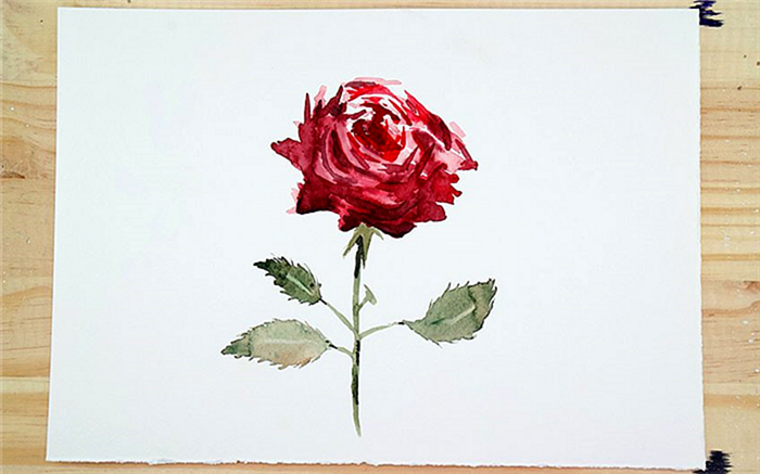 как рисовать розы акварелью
