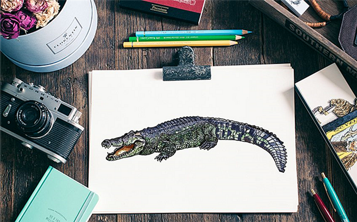как нарисовать крокодила