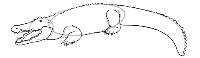 рисунок крокодила 08
