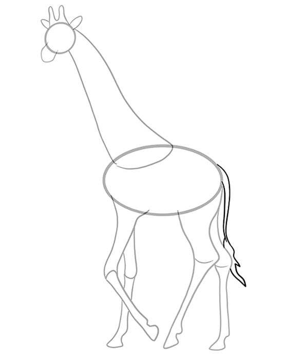 рисунок жирафа 8