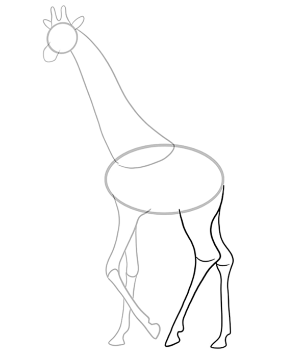 рисунок жирафа 7