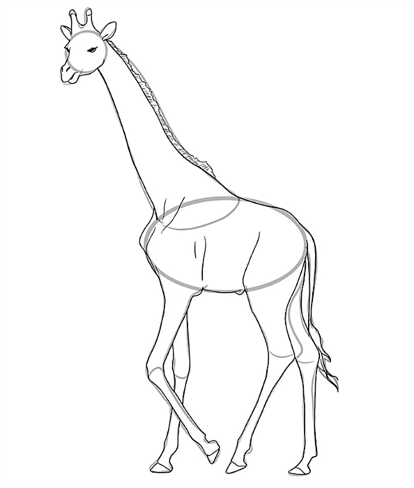 рисунок жирафа 9