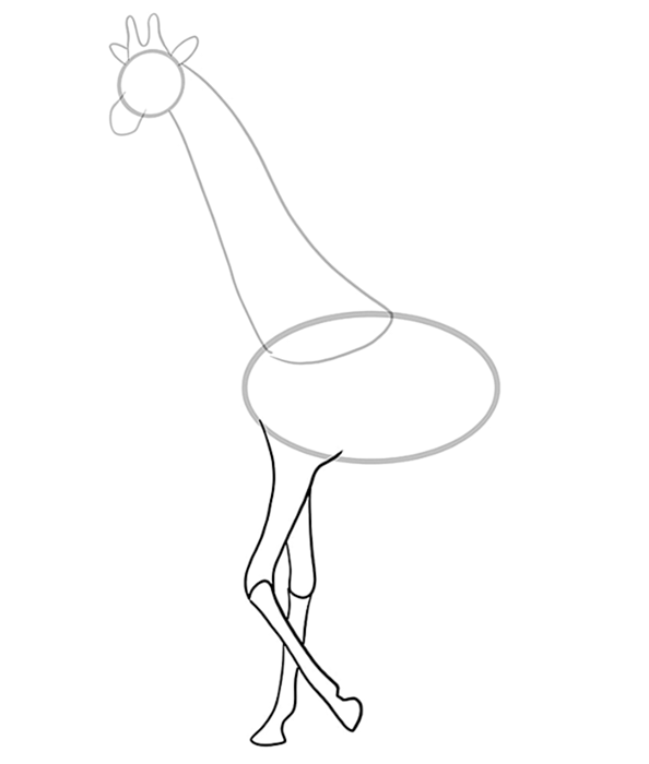рисунок жирафа 6