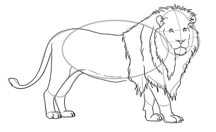 рисунок льва 10