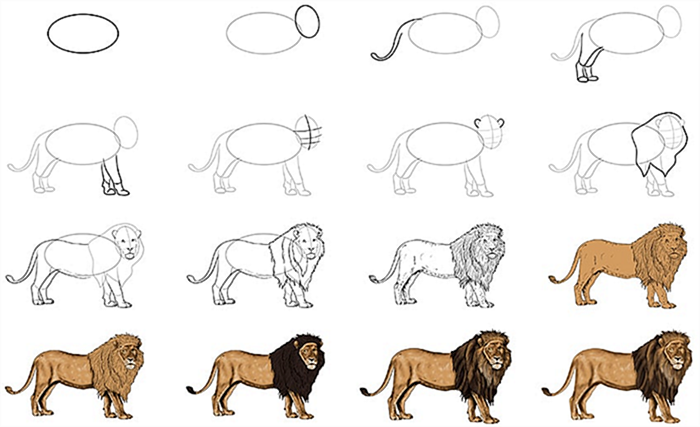 как нарисовать льва легко