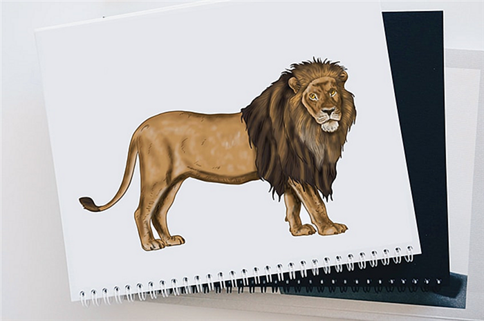 как нарисовать морду льва