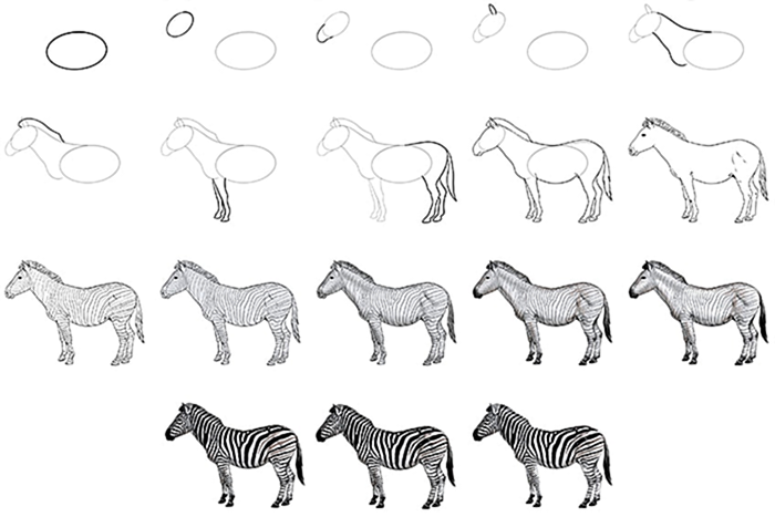 как нарисовать зебру легко