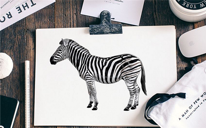 как нарисовать зебру