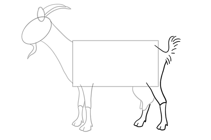 рисунок козы 8