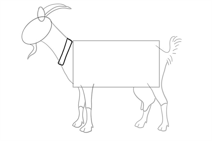 рисунок козы 9