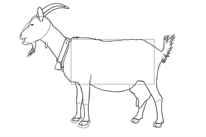 рисунок козы 10