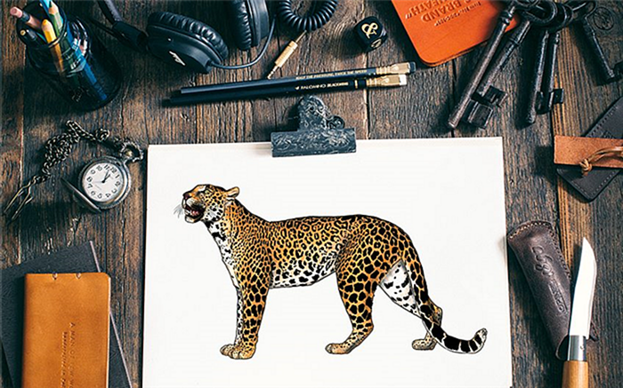 как нарисовать леопарда