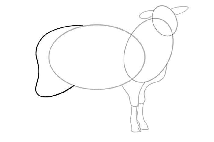рисунок овцы 6
