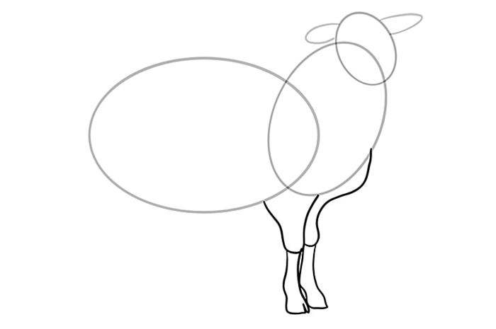 рисунок овцы 5