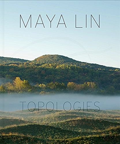 Майя Лин: топологии