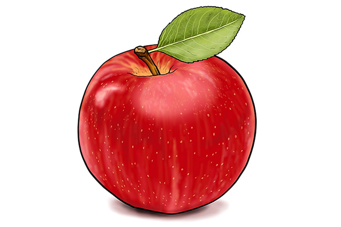 яблочный рисунок 16
