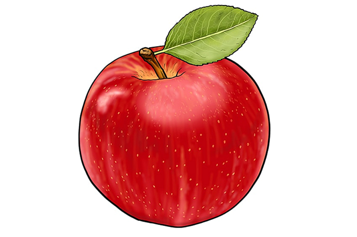 яблочный рисунок 15