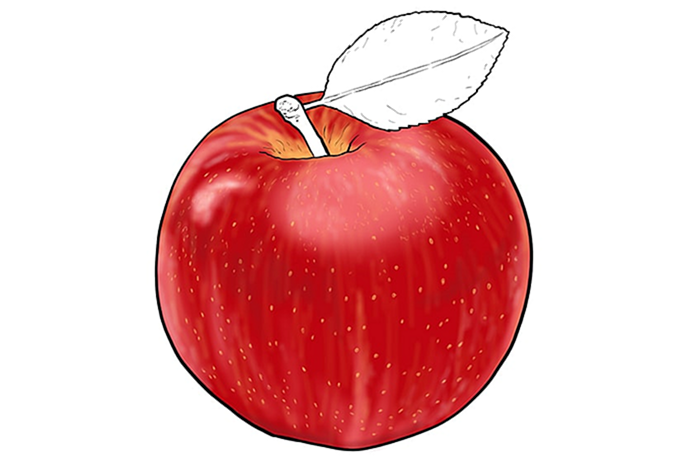яблочный рисунок 11