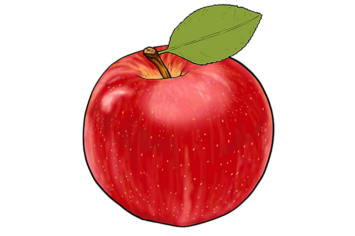 яблочный рисунок 13