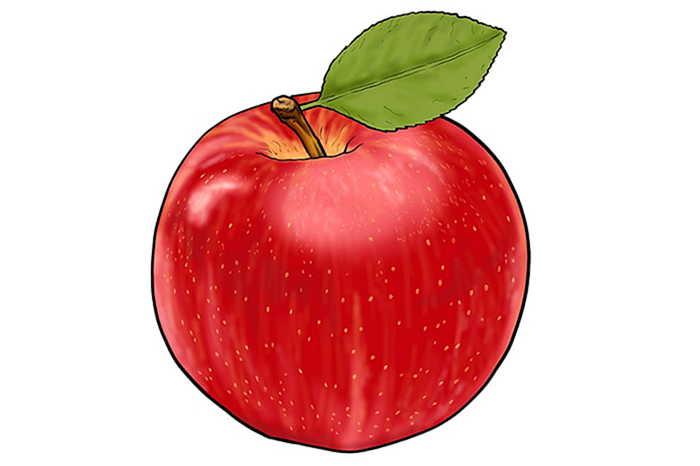 яблочный рисунок 14