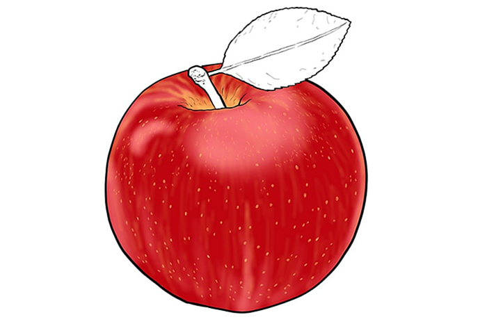 яблочный рисунок 10