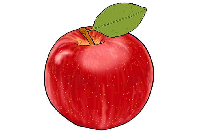 яблочный рисунок 12