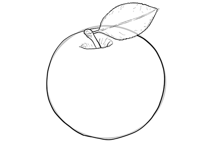 яблоко рисунок 06