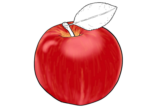 яблочный рисунок 09