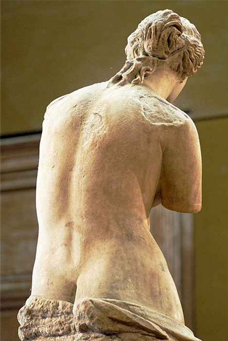 Позади скульптуры Венеры Милосской